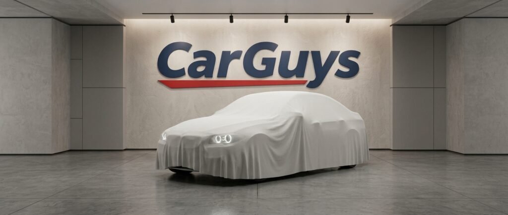 BMW 528, 2010